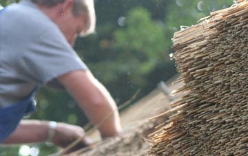 professional Terras thatchers